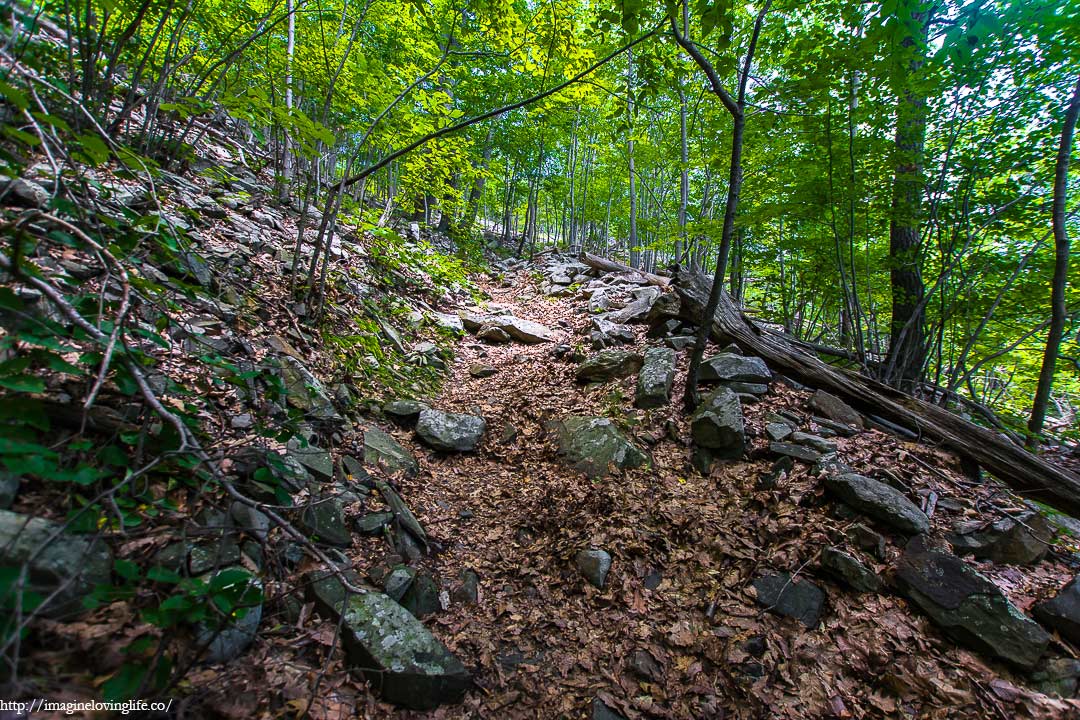 white trail incline